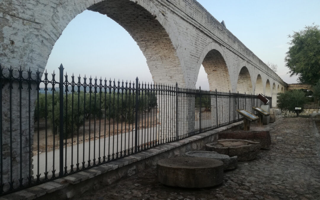 Espacios de oleoturismo en El Museo de la Cultura del Olivo