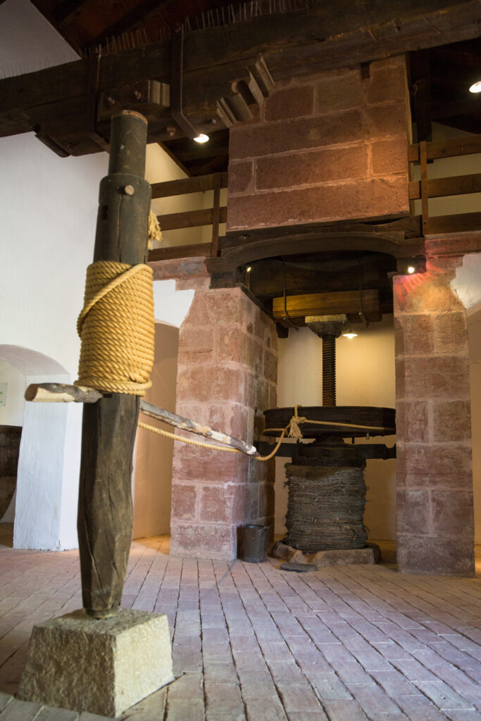 Actividades de Oleoturismo - Oleoturismo para grupos - El Museo de la cultura del olivo