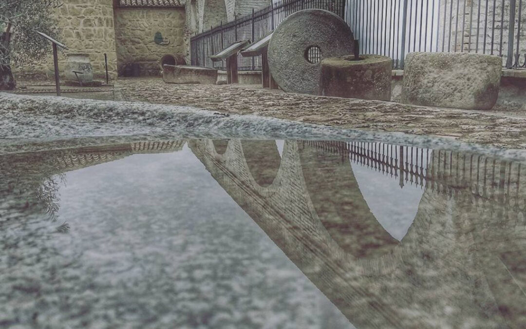 Comencemos por el principio… ¿qué es el oleoturismo?