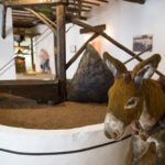 Actividades de oleoturismo - El Museo de la cultura del olivo