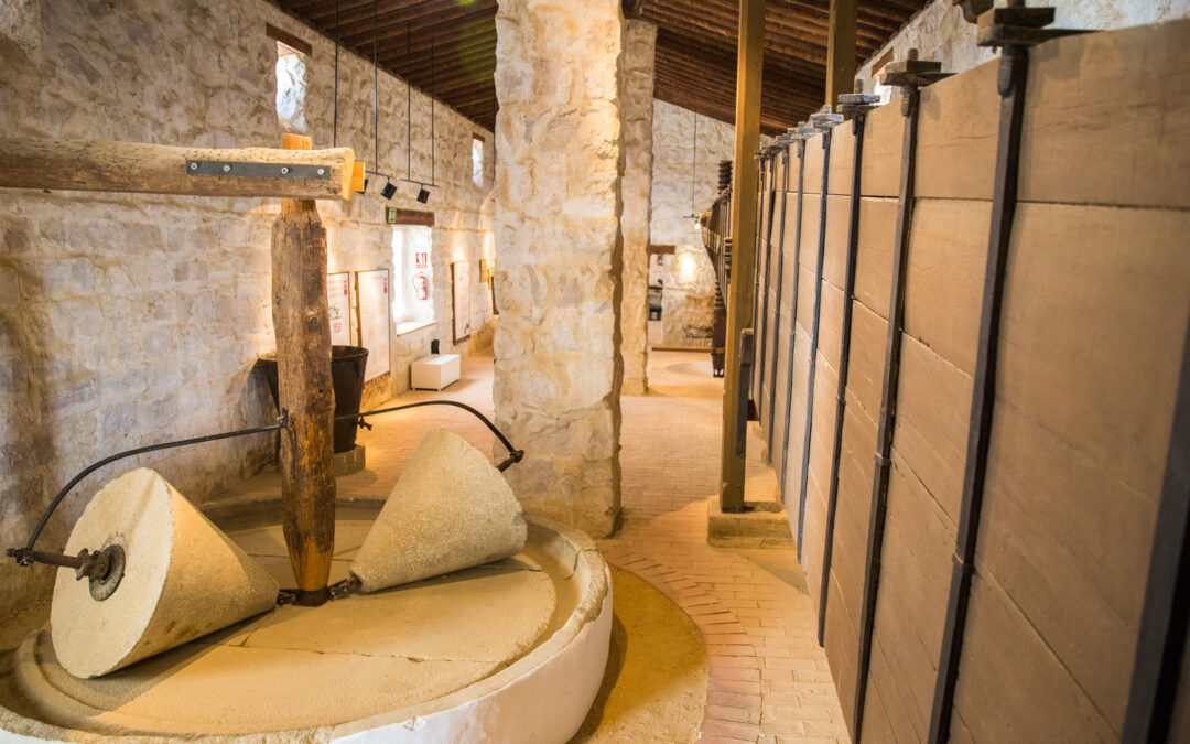 Oleoturismo en Jaén - El Museo de la Cultura del Olivo