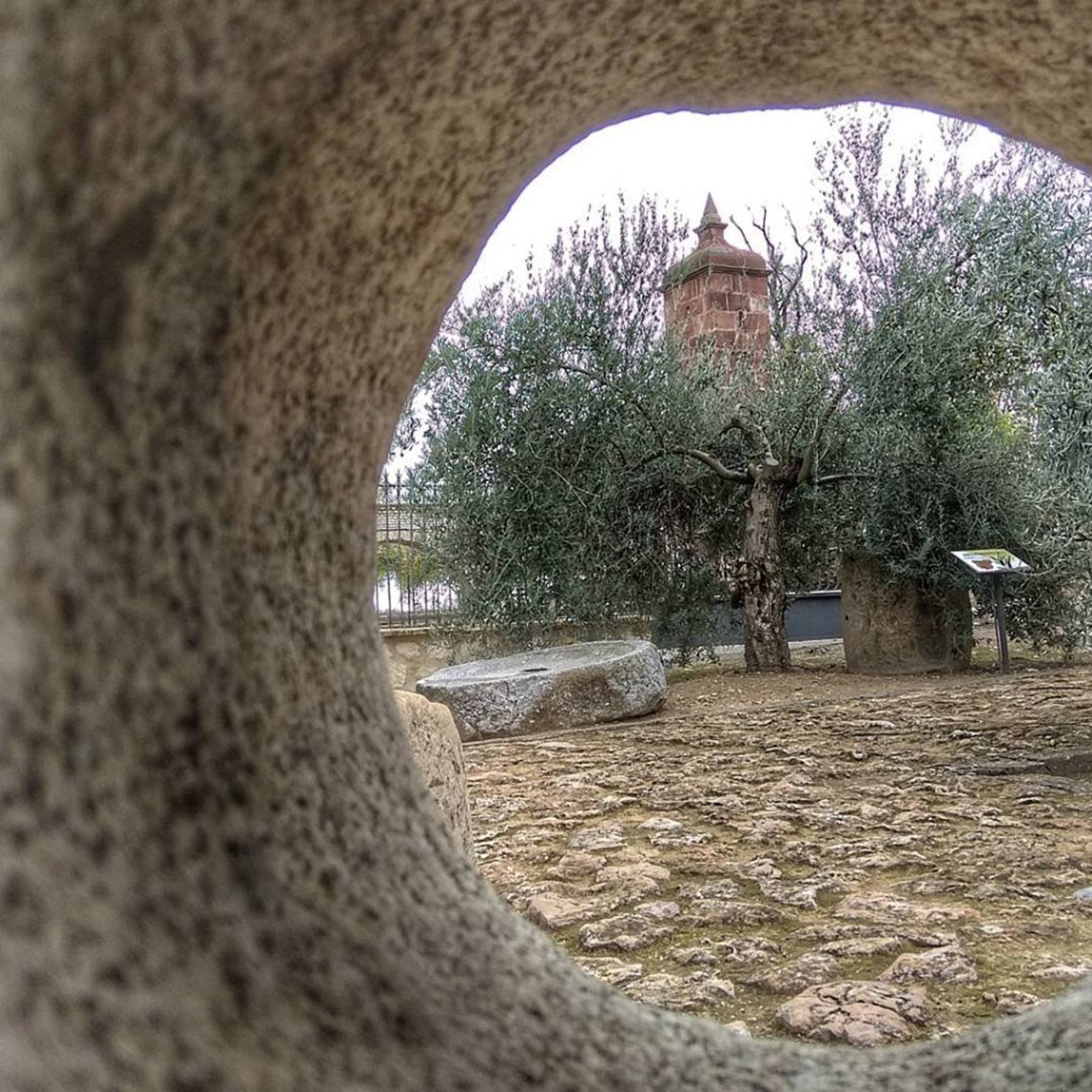 qué es el oleoturismo