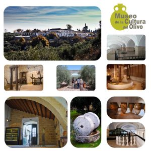 ENTRADA AL MUSEO DE LA CULTURA DEL OLIVO