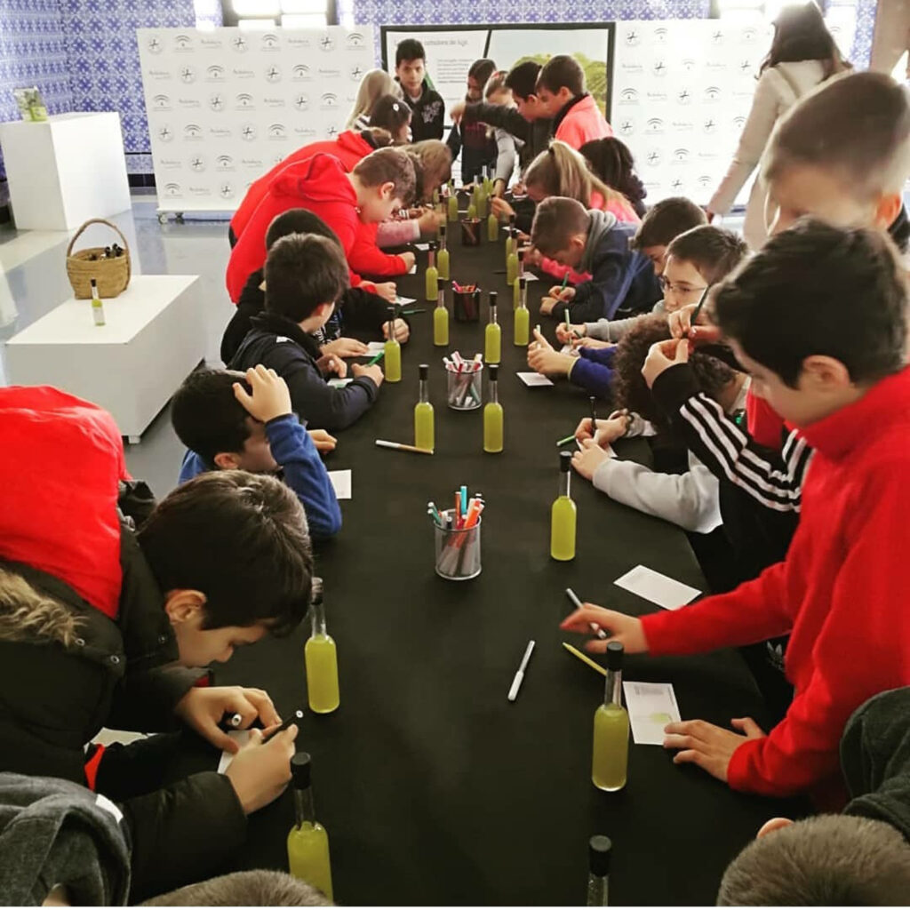 Talleres para escolares - Actividades de Oleoturismo en El museo de la cultura del olivo