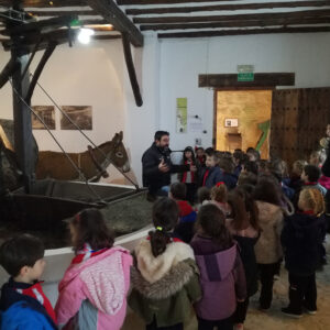 Programa para escolares en el museo de la cultura del olivo