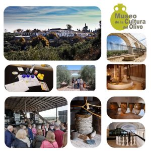 OLEOTURISMO HACIENDA LA LAGUNA + VISITA GUIADA + CATA DE ACEITE DE OLIVA
