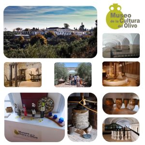 Entrada al Museo con Audioguía (ES/IN/FR/GER) + Degustación de Aceites