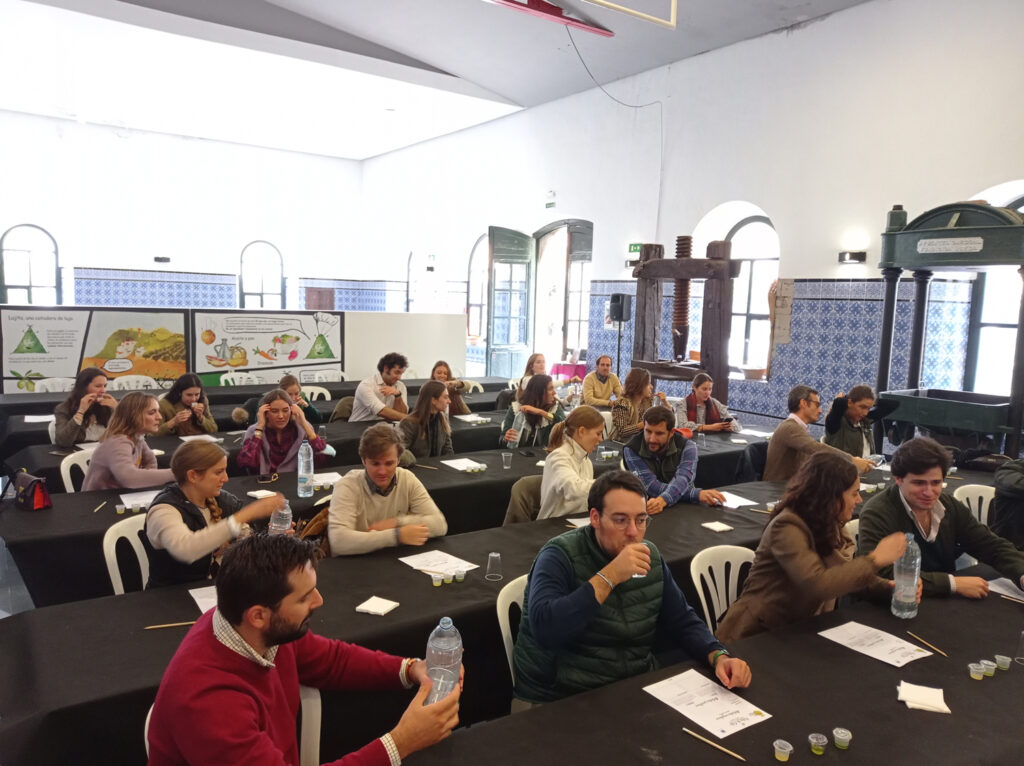 Catas de aceite - Taller de cata de aceite - El museo de la cultura del olivo - Actividades de Oleoturismo