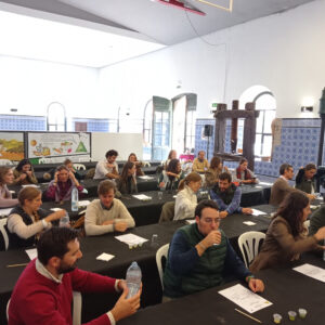 Catas de aceite - Taller de cata de aceite - El museo de la cultura del olivo - Actividades de Oleoturismo