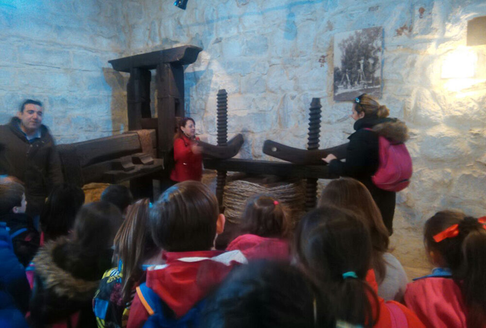 Talleres para escolares: OLEOAVENTURA, una experiencia educativa en el Museo de la Cultura del Olivo