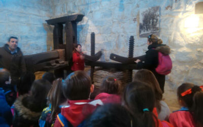 Talleres para escolares: OLEOAVENTURA, una experiencia educativa en el Museo de la Cultura del Olivo