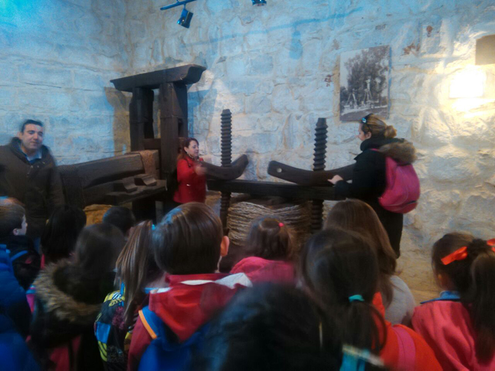 Visita guiada al museo - Imagen 3