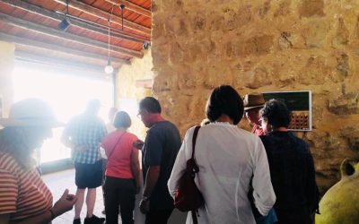 Oleoturismo para grupos en el Museo de la Cultura del Olivo: una experiencia cultural, gastronómica y sensorial