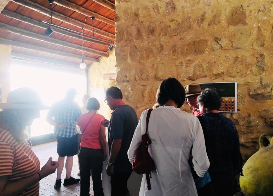 Oleoturismo en el Museo de la Cultura del Olivo: una experiencia que enamora los sentidos