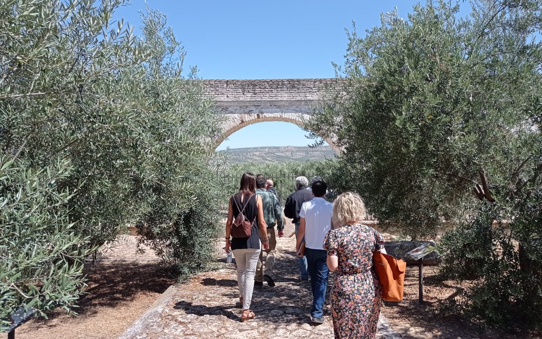 Actividades para grupos en verano descubre el Museo de la Cultura del Olivo