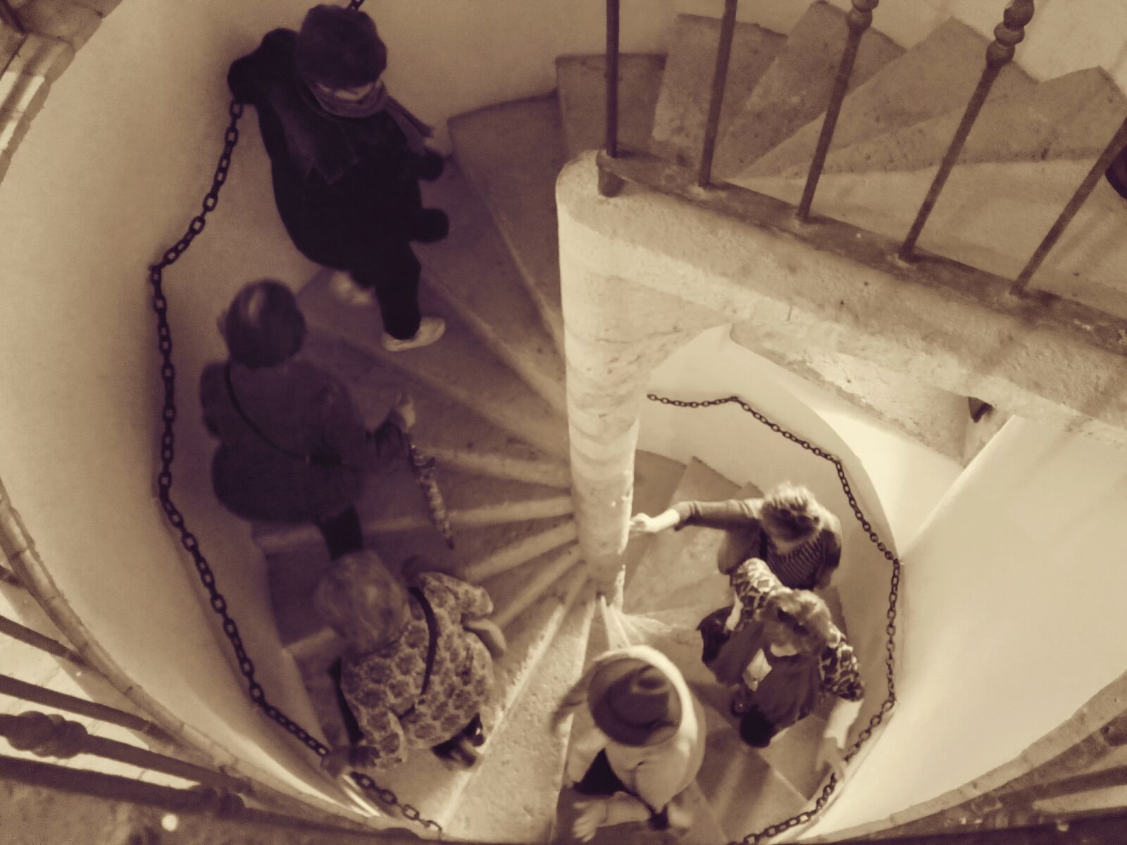 actividades para grupos en verano en el museo de la cultura del olivo en Jaén